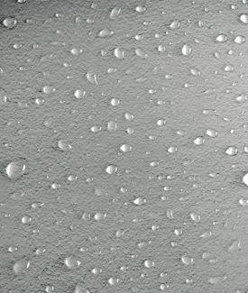 Easy Clean ? Limpador Multiuso Profissional Decor Colors